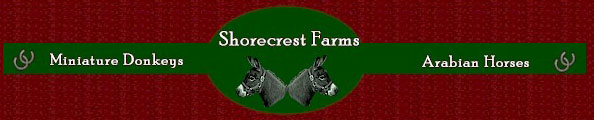 Welcome to Shorecrest Farms!  ~ Logo designed by Julia Vaughn