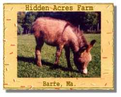 Hidden Acres Logo (8642 bytes)