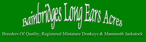 Bainbridge Long Ears Acres
